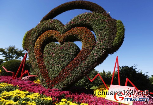 “世界花卉大观园第九届艺菊展”在北京丰台举办