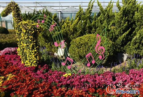 “世界花卉大观园第九届艺菊展”在北京丰台举办