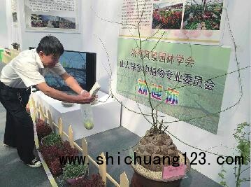 首届中国(济南)花博会7天纳客15.6万人次 签单1.2亿元