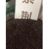 紫荆种子