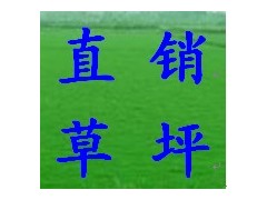 热销百慕大与黑麦草混播草坪，马尼拉等电13775528172图3