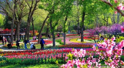 上海申宏绿植租摆分享园林园艺中绿植花卉搭配方法_zgxwzx.com.cn