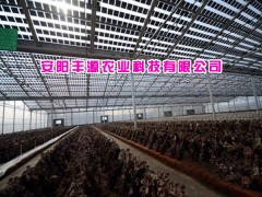 食用菌大棚图1