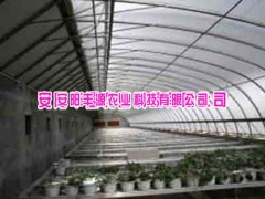 几字钢温室大棚图1