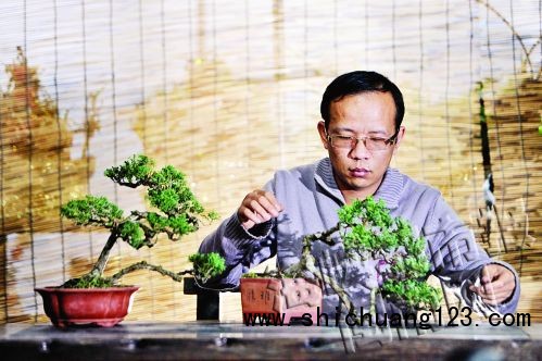 人物名片：中国盆景艺术家协会副会长吴明选