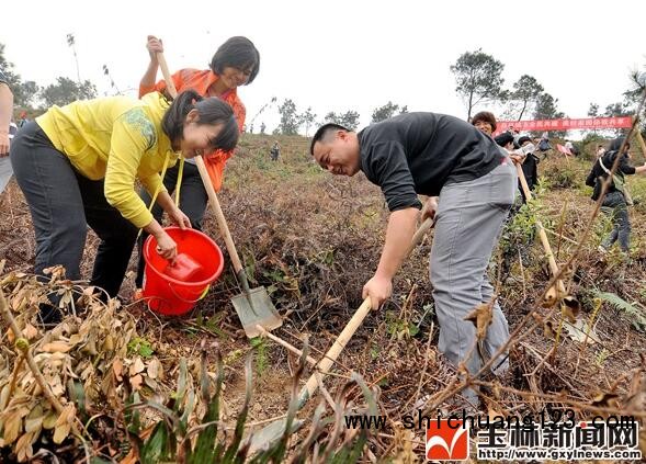 QQ截图20160318093201.jpg