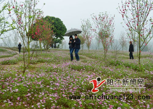 广东：花滩森林公园规划建设20多个景点