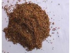 连翘种子_优质连翘种子_连翘价格种子图1