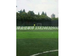 足球场草坪铺建，河南草坪，安阳草坪基地图1