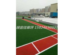 足球场草坪铺建，河南草坪，安阳草坪基地图2