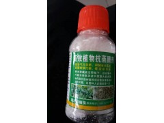 供应抗蒸腾剂，坑蒸腾剂使用对比图图1