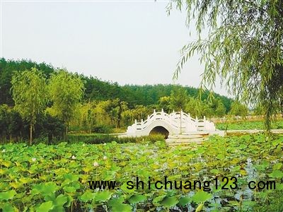 游园荷香沐淮源 游园荷香沐淮源