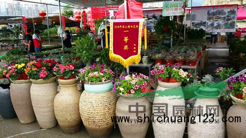 保山美世园艺花卉超市展销的各类盆花琳琅满目