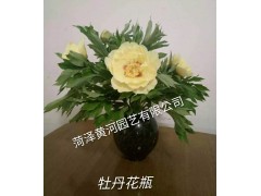 供应鲜切花，冷库内鲜切花，包装鲜切花，切花花瓶图3