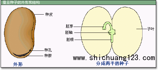 3_看图王