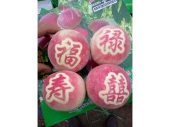 供应映霜红晚桃苗100万株，优质河南映霜红晚桃销售图1