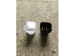 6.5cm口径小黑方花盆  批发各种尺寸彩色多肉花盆图1