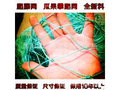 家禽养殖网养山鸡网养鸡网尼龙网批发防鸟网护栏网图1