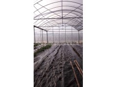 厂家直供 联动大棚骨架 花卉大棚 草莓大棚 物美价廉图1
