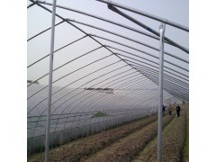 【厂家直销】蔬菜大棚 单体钢管大棚 GP-622大棚骨架图3