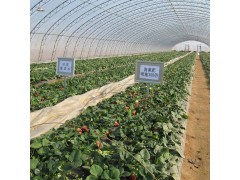厂家直销】蔬菜瓜果温室大棚管 优质大跨度双管大棚及配件图1