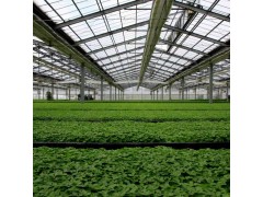 【厂家直销】内遮阳连栋薄膜温室大棚 质量优秀品质保障图1