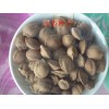 野山杏种子，新疆伊犁平安野苹果种子店15599991992
