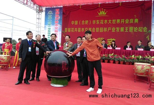 肥东崛起华东最专业花木交易综合性示范基地
