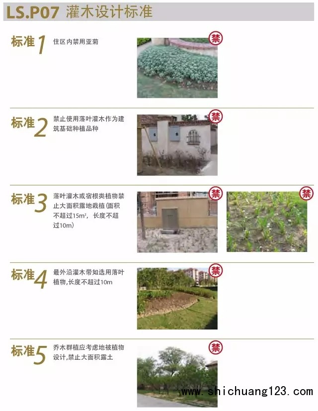 8.webp