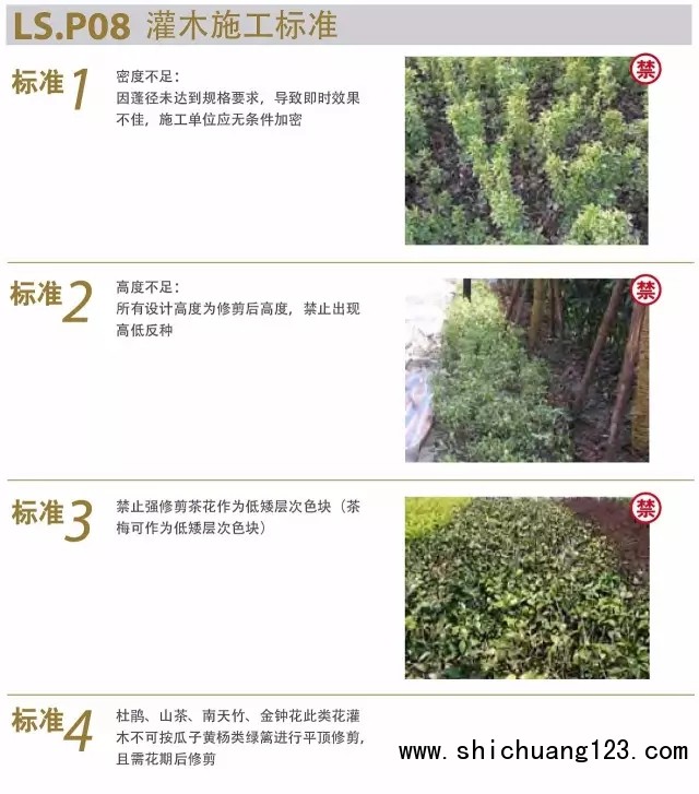 9.webp
