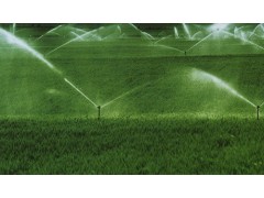 喷灌、微灌（微喷、滴灌）、喷泉、景观工程设计施工 金华市雨润喷泉喷滴灌有限公司图1