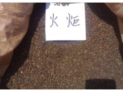 供应火炬种子|东北白榆种子|金叶榆种子|国槐种子|山里红苗|桑椹苗图1