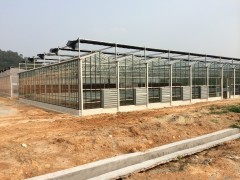 温室大棚,钢结构,玻璃幕墙,温室配件_廊坊市绿丰农业工程有限公司图1