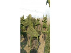 鄢陵十二生肖植物造型批发价格，十二生肖植物造型制作基地图1