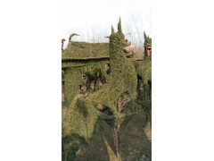 走廊植物造型，亭子植物造型，动植物绿植造型加工培训基地图1