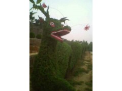 大型植物龙造型图1