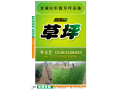 草坪图1
