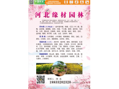 各种花灌木红英/花灌木、宿根花卉、乔木类等绿化苗木图3