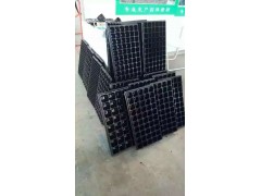 穴盘育苗盘图1