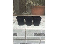 穴盘/育苗器/营养钵/美植袋/植树袋/双色盆/育苗盘/遮阳网/除草布/控根器图1