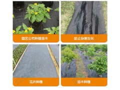 穴盘/育苗器/营养钵/美植袋/植树袋/双色盆/育苗盘/遮阳网/除草布/控根器图3