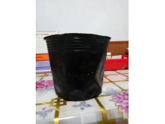 穴盘/育苗器/营养钵/美植袋/植树袋/双色盆/育苗盘 /营养杯图3