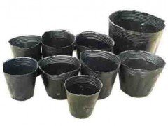 樟子松高品质塑料时尚/营养杯13*16=0.031河北省玉田县旭日塑料制品厂图1