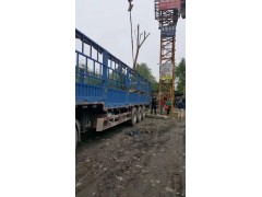 高杆大红紫薇、紫薇价格、13618056433   18215552034图3