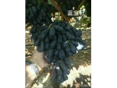 蓝宝石图1