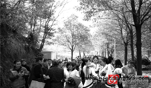 以花为媒，洪江区每年在嵩云山景区内的樱花园举办系列主题活动，引来游人无数。（向玉龙 摄）