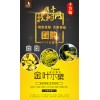 金叶小檗