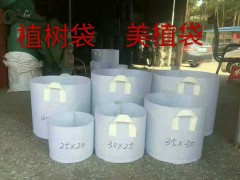 光辉育苗容器 营养钵 美植袋 双色盆 穴盘图2