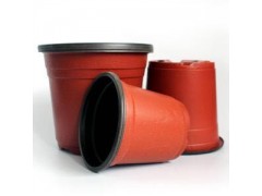 唐山双色花盆-河北双色盆_石家庄批发双色花盆 双色盆价格_双色盆图2