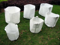 无纺布美植袋图2